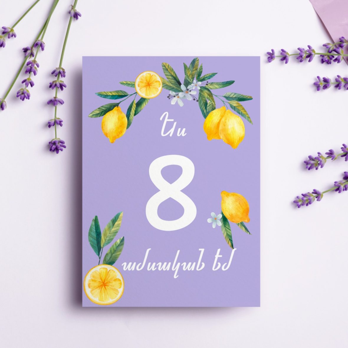 WhatsApp Image 2022-08-09 at 15.56.29 (2)